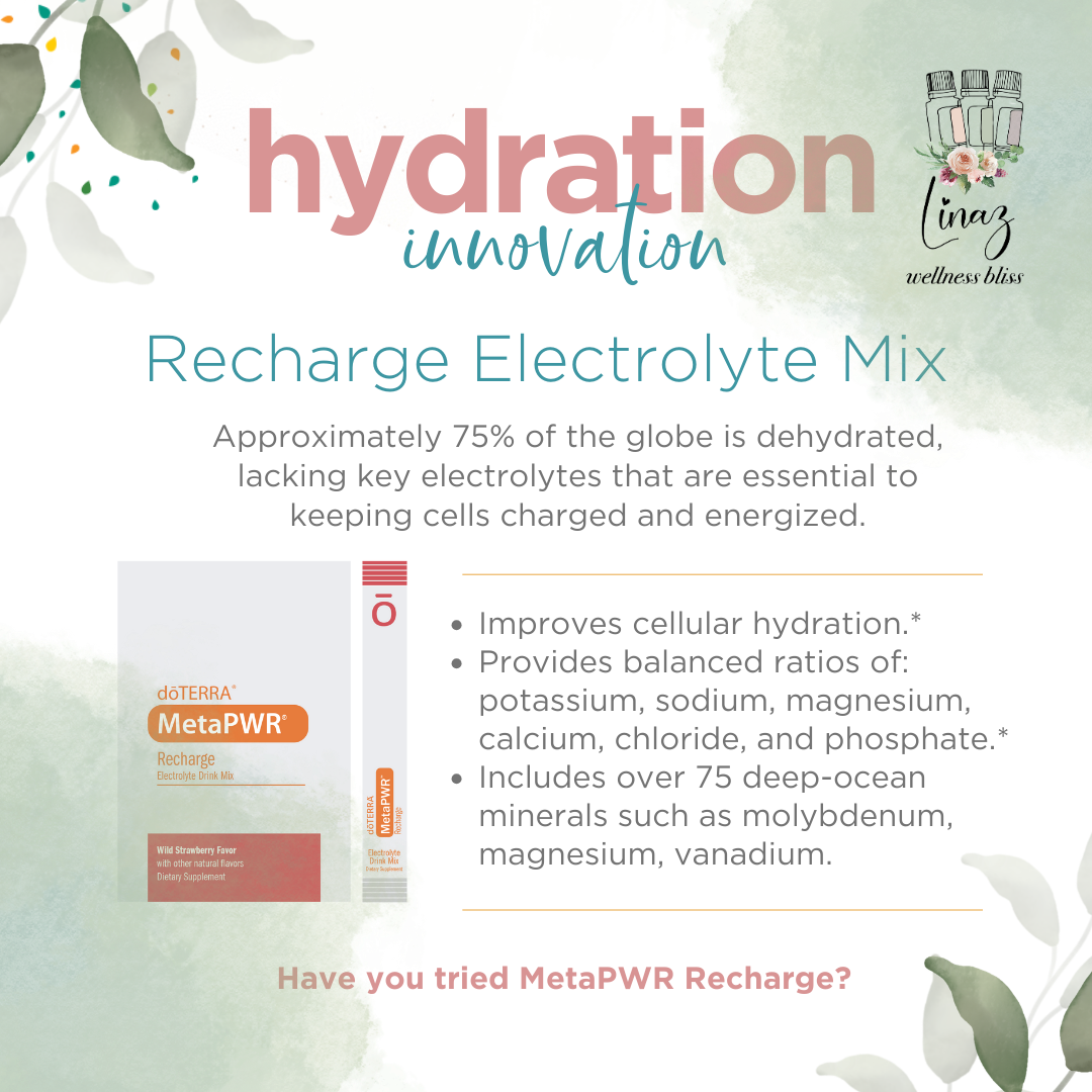 MetaPWR®Recharge (Wild Strawberry Flavour) Exclusive Blend of Electrolytes
