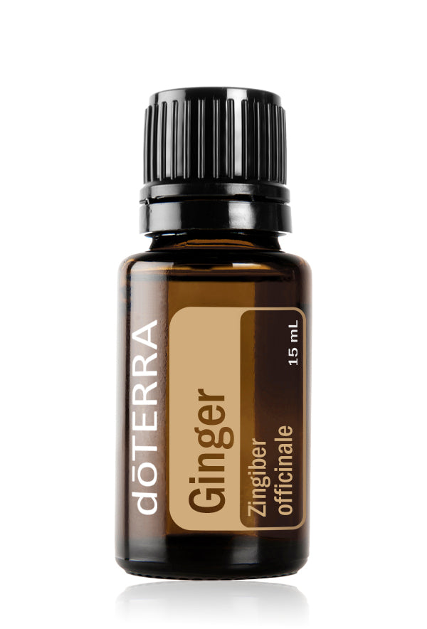 Ginger Essential Oil 15ml