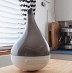 Aroma-Bloom Diffuser