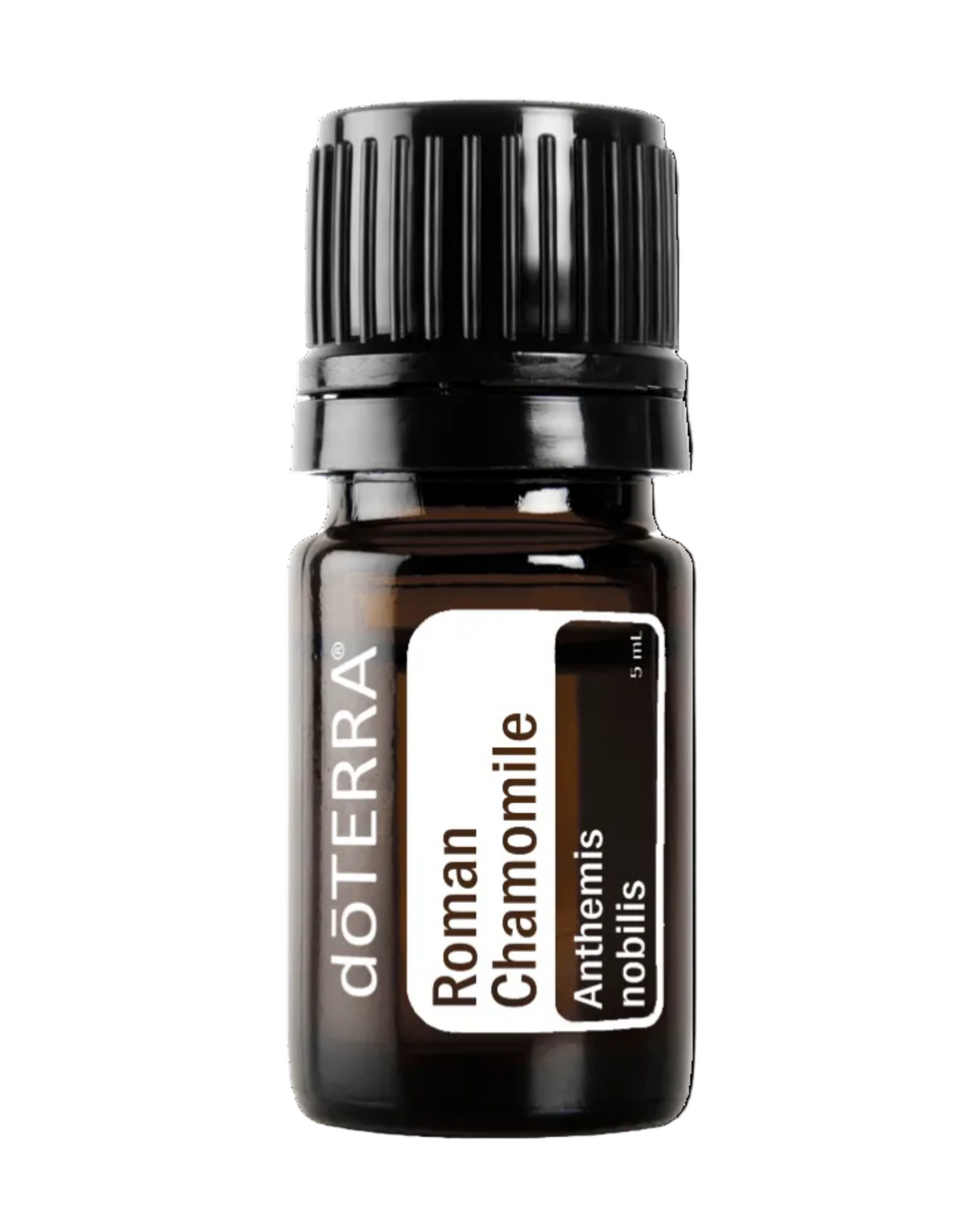 A small amber glass bottle of doTERRA Roman Chamomile essential oil with a black ribbed cap and a white label, centered on a plain white background.